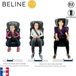 Nania - Autostoel BELINE Animals - Groep 1/2/3 - Meegroeistoel - Van 9 Tot 36 Kg - FLAMINGO -Kinderwagen- En Accessoirewinkel 1187x1200 7