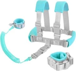 MijnNami 2 In 1 Harnas En Polstuigje – Kindertuigje En Polstuigje Met Slot – Mint -Kinderwagen- En Accessoirewinkel 1200x1118 8