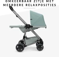 Quinny Zapp Flex Plus Buggy - Frost On Grey -Kinderwagen- En Accessoirewinkel 1200x1150 3