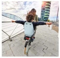 Urban Iki Fietsstoeltje Achter - Bincho Black/Kurumi Brown -Kinderwagen- En Accessoirewinkel 1200x1155 13