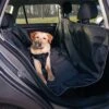 Merkloos Bavepa Premium Deluxe Hondendeken Auto Hondenkleed Autodeken Hond Voor Achterbank & Kofferbak Bescherming Waterafstotende Beschermhoes Beschermer Hoes 1 Merkloos Bavepa Premium Deluxe Hondendeken Auto Hondenkleed Autodeken Hond Voor Achterbank & Kofferbak Bescherming Waterafstotende Beschermhoes Beschermer Hoes -Kinderwagen- En Accessoirewinkel 1200x1200 697