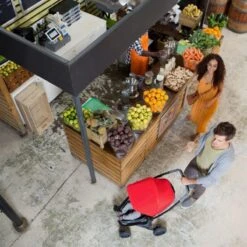 Quinny Zapp Flex Plus Buggy - Frost On Grey -Kinderwagen- En Accessoirewinkel 1200x1200 800