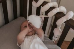 Tryco Zwaan Ivy Boxspiraal TR-243304 -Kinderwagen- En Accessoirewinkel 1200x799 2