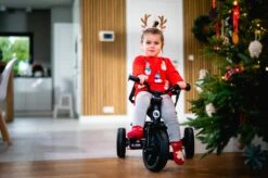 Lionelo Haari - Driewieler - Drankhouder - 2in1 - Tot 36+ 35 Lionelo Haari - Driewieler - Drankhouder - 2in1 - Tot 36+ -Kinderwagen- En Accessoirewinkel 1200x799 61