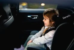 Lionelo Bastiaan - Autostoel - 360° Draaibaar - ISOFIX -Kinderwagen- En Accessoirewinkel 1200x800 93