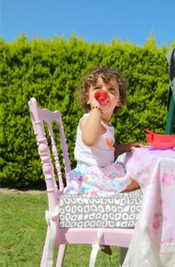 Babyjem Booster Chair Grey -Kinderwagen- En Accessoirewinkel 789x1200 2