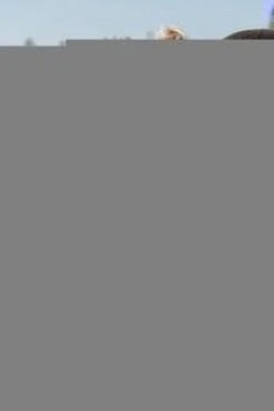 Baby's Only Voetenzak Buggy - Buggyzak Classic - Zand - Geschikt Voor 3-puntsgordel -Kinderwagen- En Accessoirewinkel 800x1200 129