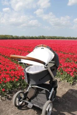 Dooky Universal Cover Zonnescherm Kinderwagen - Crème -Kinderwagen- En Accessoirewinkel 800x1200 14