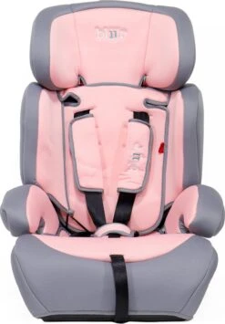 Blij'r Ivo - Autostoel - Klasse 1,2,3 - Geschikt Voor 9-36 Kg - Met Extra Vulling En 5 Puntsgordel - Roze -Kinderwagen- En Accessoirewinkel 836x1200 8