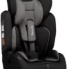 Lionelo Levi Simple - Autostoeltje - 5-punts Gordel - Wasbare Dri-Seat - Tot 36kg