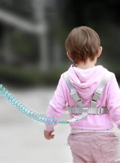 MijnNami 2 In 1 Harnas En Polstuigje – Kindertuigje En Polstuigje Met Slot – Mint -Kinderwagen- En Accessoirewinkel 888x1200 13